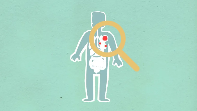 Votre intestin, chef d'orchestre de votre santé : ce que la science révèle sur le microbiome