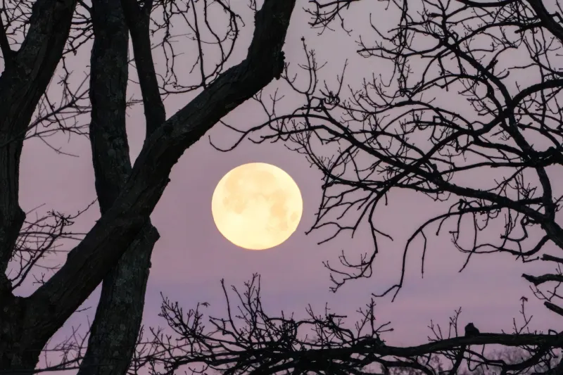 La lune et votre corps : ce que la science dit vraiment de leur relation